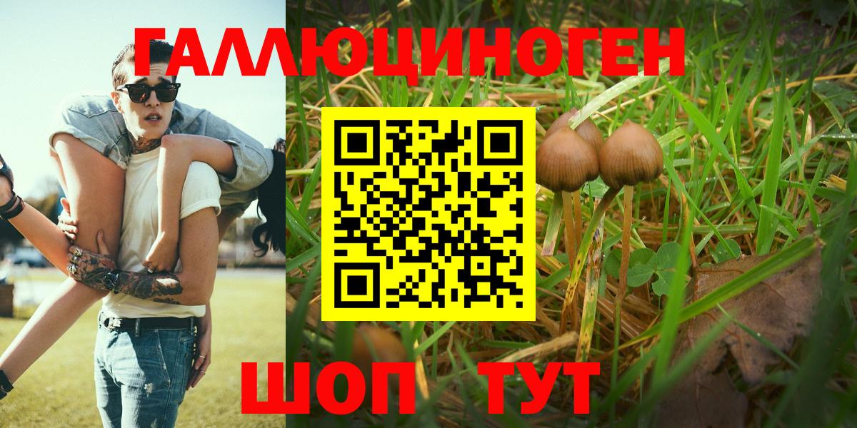 Псилоцибиновые грибы Cubensis  Вход с VPN  Сунжа  Галлюциногенные грибы мухоморы 