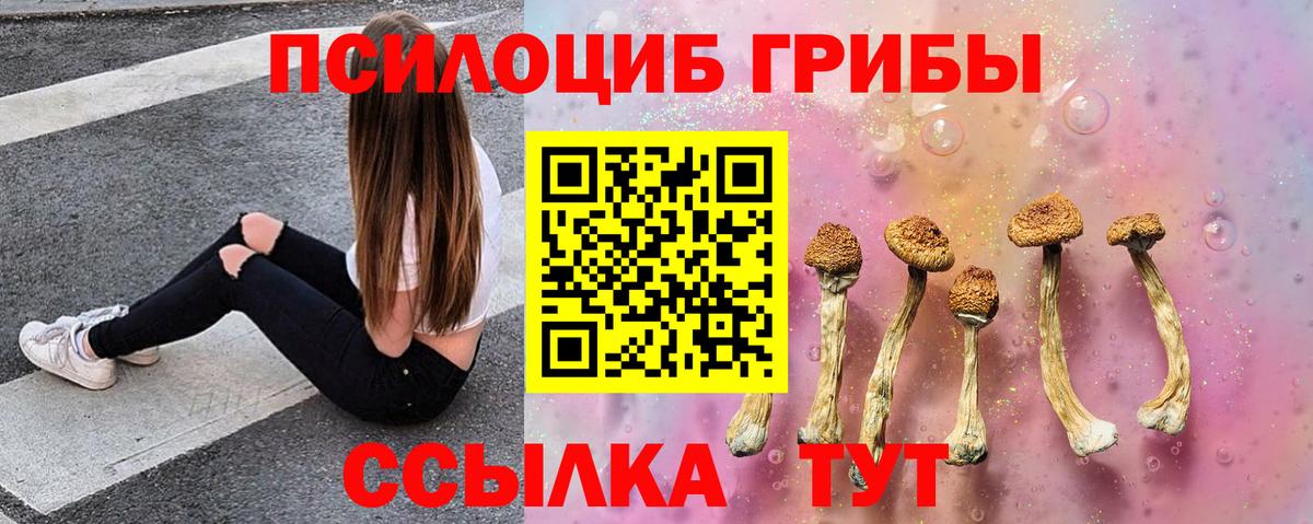 Галлюциногенные грибы мухоморы Сунжа