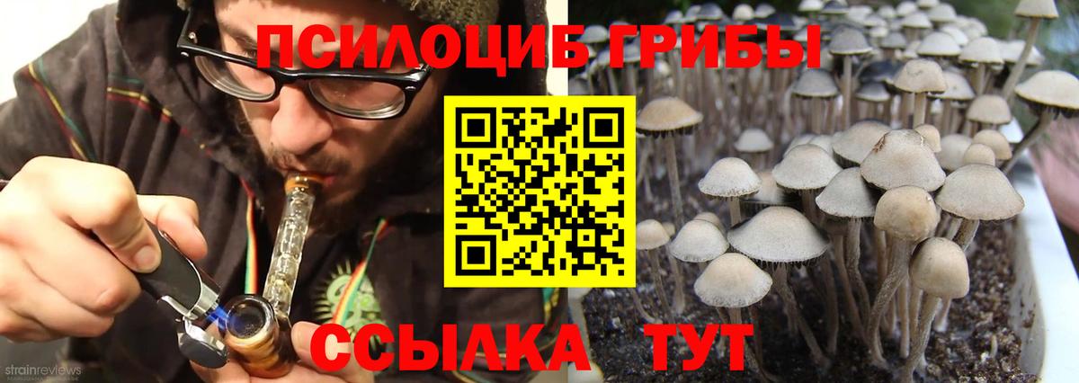 А ПВП Сунжа
