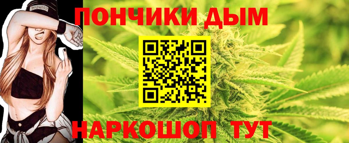 Шишки марихуана план Сунжа